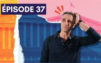 37. Comprendre la crise politique française ! 🗳️
